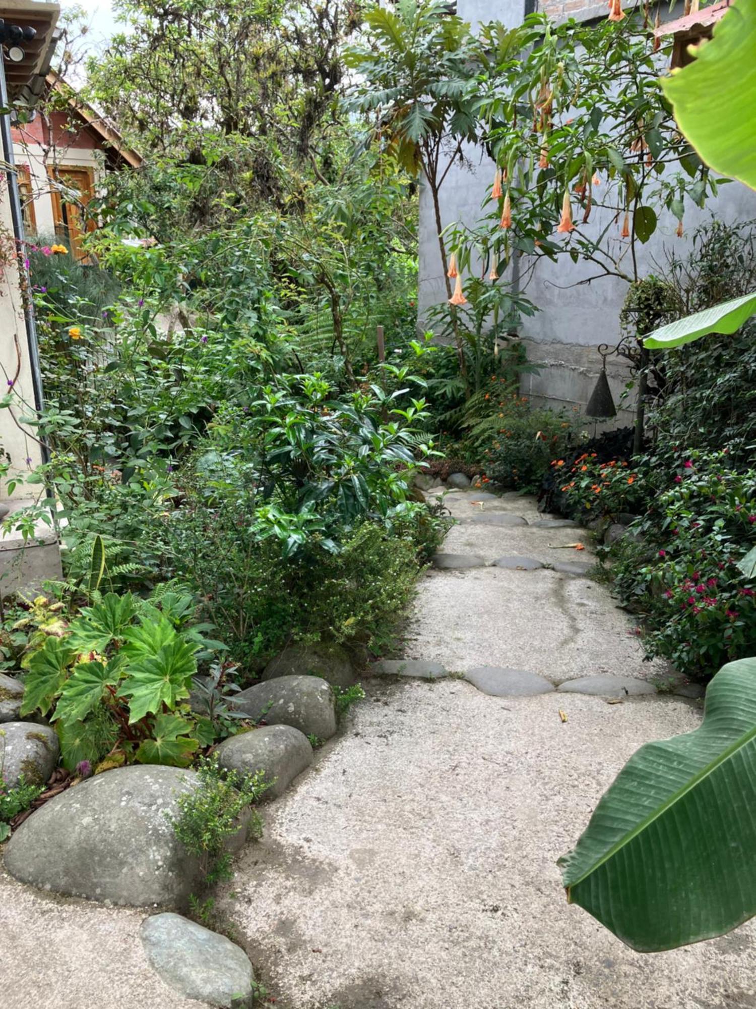 Casa Del Rio En Mindo Bed and Breakfast Εξωτερικό φωτογραφία