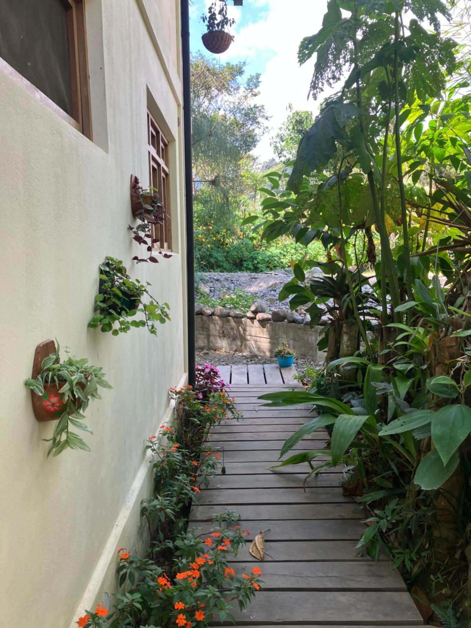 Casa Del Rio En Mindo Bed and Breakfast Εξωτερικό φωτογραφία
