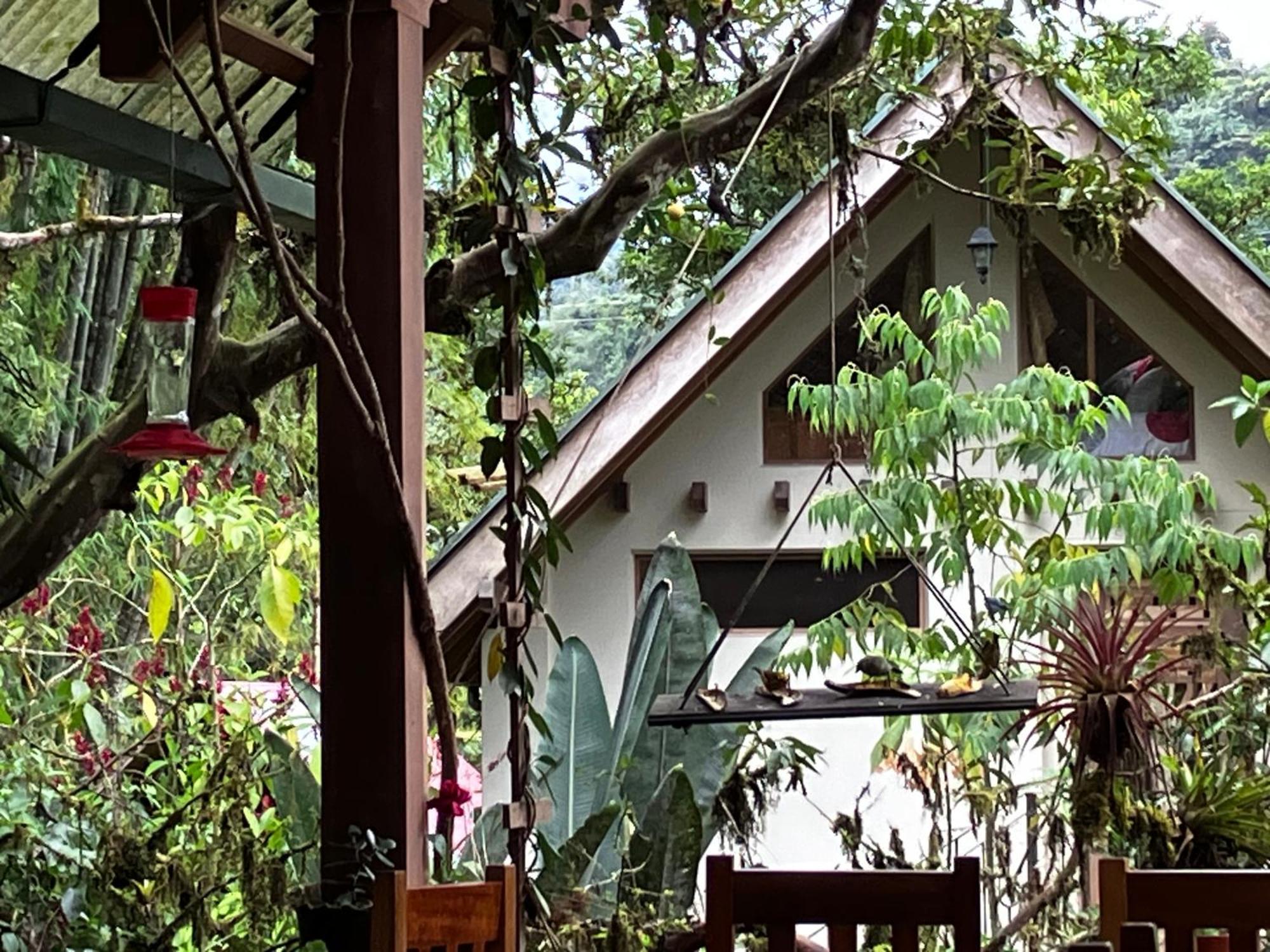 Casa Del Rio En Mindo Bed and Breakfast Εξωτερικό φωτογραφία