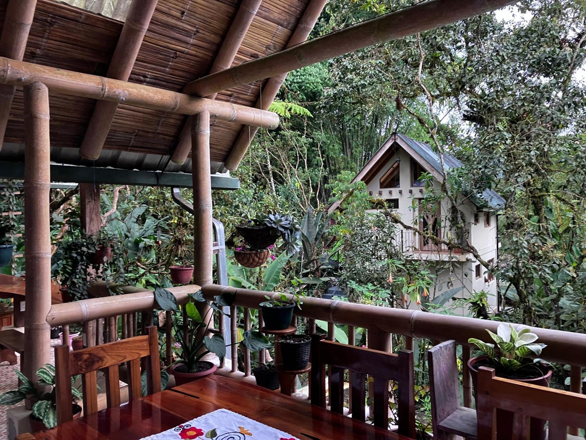 Casa Del Rio En Mindo Bed and Breakfast Εξωτερικό φωτογραφία