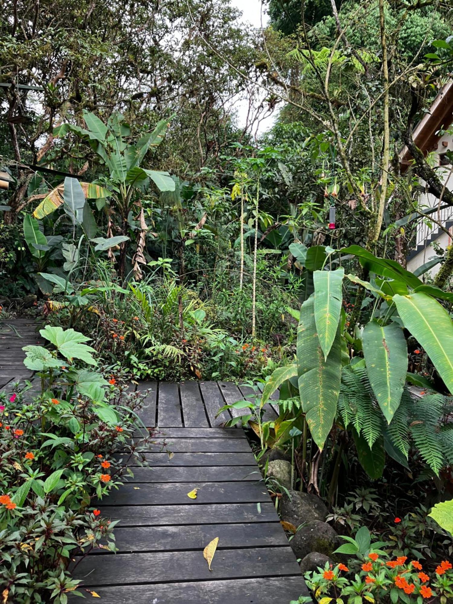 Casa Del Rio En Mindo Bed and Breakfast Εξωτερικό φωτογραφία