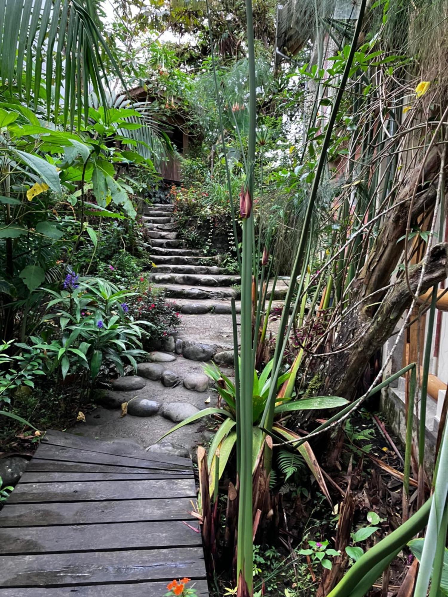 Casa Del Rio En Mindo Bed and Breakfast Εξωτερικό φωτογραφία