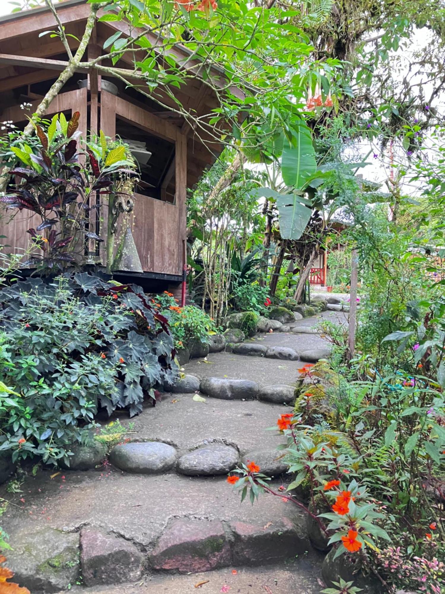 Casa Del Rio En Mindo Bed and Breakfast Εξωτερικό φωτογραφία