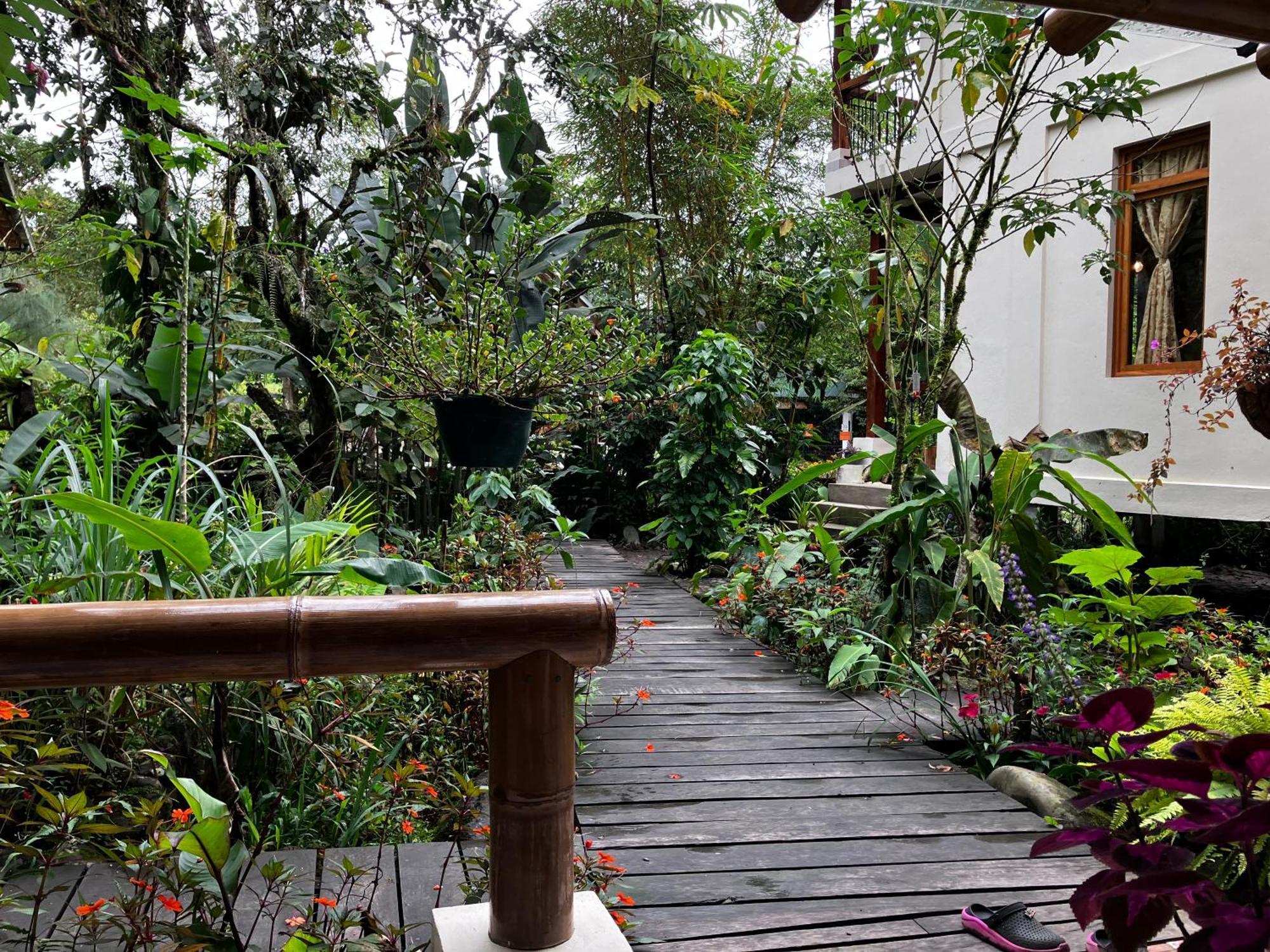 Casa Del Rio En Mindo Bed and Breakfast Εξωτερικό φωτογραφία