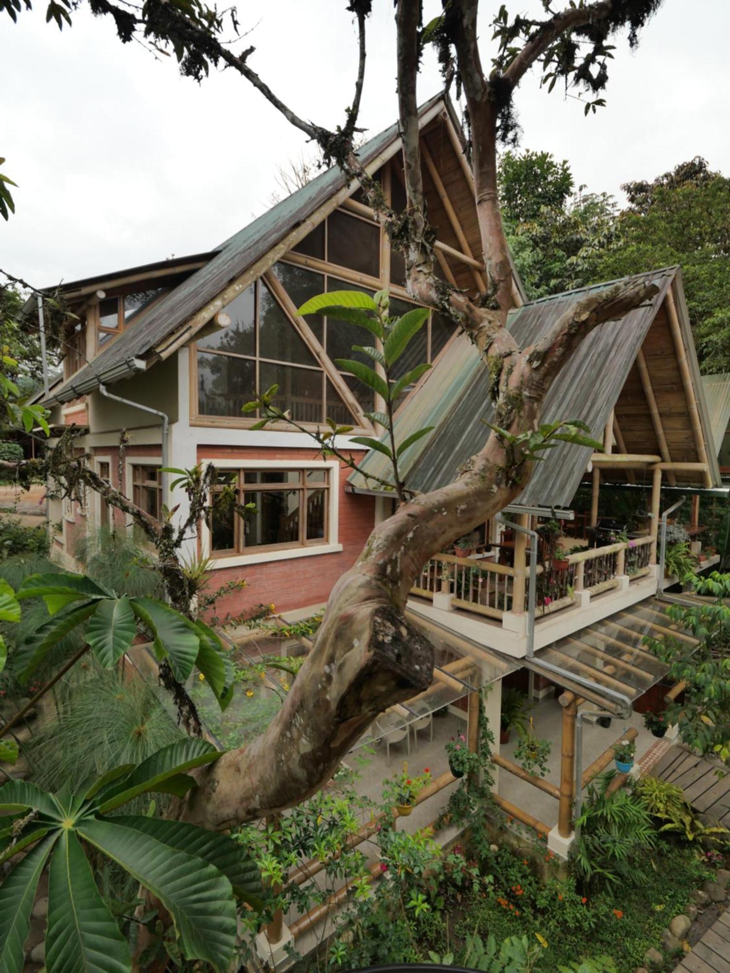 Casa Del Rio En Mindo Bed and Breakfast Εξωτερικό φωτογραφία
